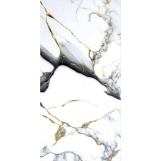 Gresie portelanata, 60x120 cm, MONET BLACK GO..